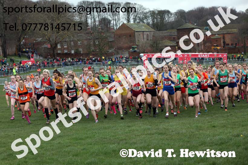 Intermediate girls 2019 New Balance English Schools Cross Country Champs, Temple Newsam, Leeds. Photo:  David T. Hewitson/Sports for All Pics